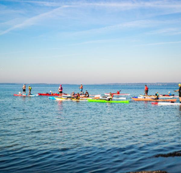 En håndfuld stand up paddle-boardere paddler rundt på åbent havn en sommerdag