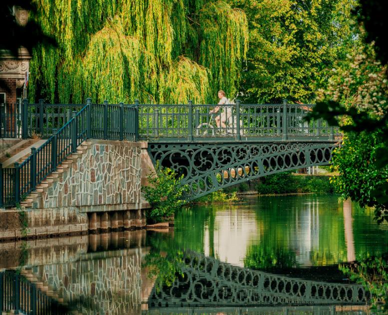 En cyklist krydser en bro over Odense Å med grønne træer og beplantninger