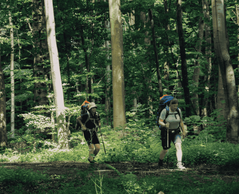 To kvinder vandrer igennem grøn skov med vandrestave og rygsække