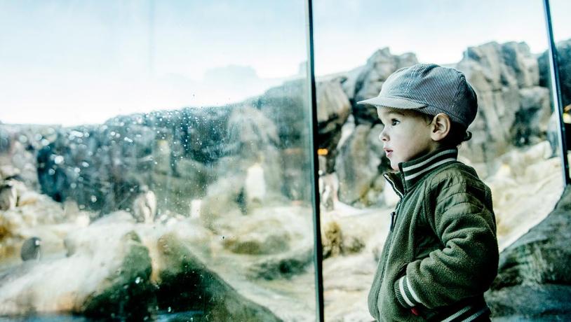 Kom Helt Taet Pa Dyrene I Odense Zoo