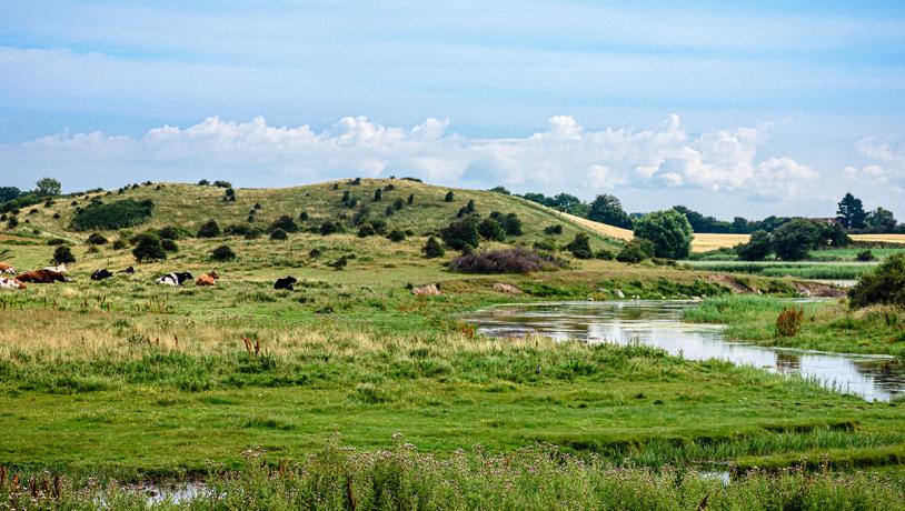 Grønne marker, bakker, buske, træer og små søer. Blå himmel og havremarker i baggrunden.