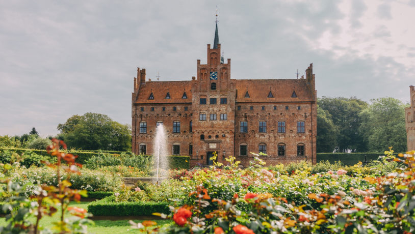 Egeskov Slot med rosenhave med blomstrende roser i forgrunden