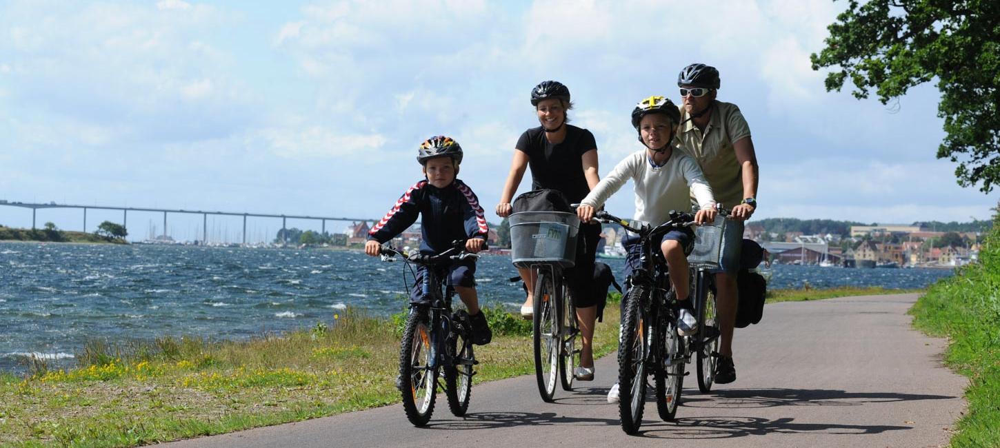 Familie på fire på cykel på asfalteret vej med havet og Svendborgsundbroen i baggrunden.