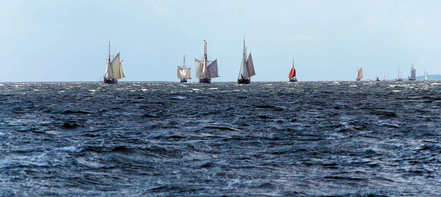 En masse skibe kommer sejlende over et stort, mørkeblåt hav under en lyseblå himmel.