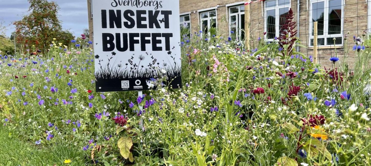 Bygning set udefra med skiltet "Svendborgs insektbuffet" midt i en masse vilde blomster.