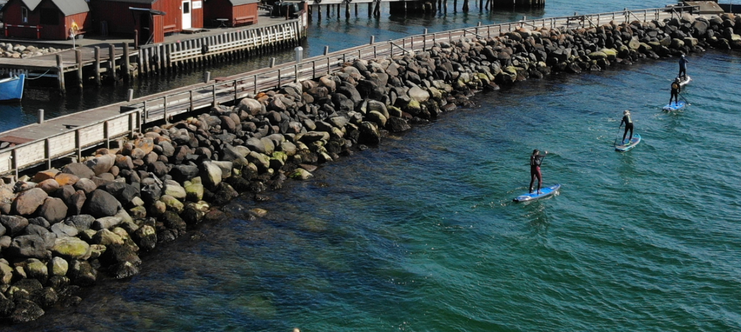 4 personer står på stand up paddle boards på vandet langs kajen ved Lohals