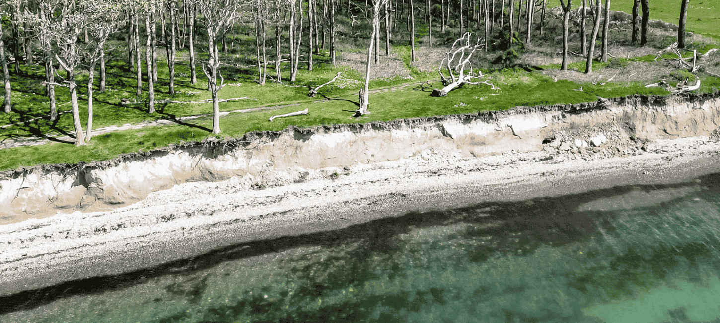 Strand, klint, græs og træer 