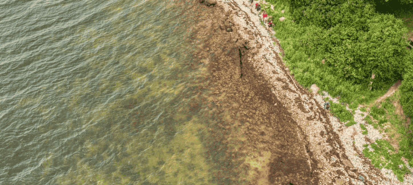 Et luftfoto af fire vandrere med oppakning, der går på en strand med havet til den ene side og grøn skov til den anden