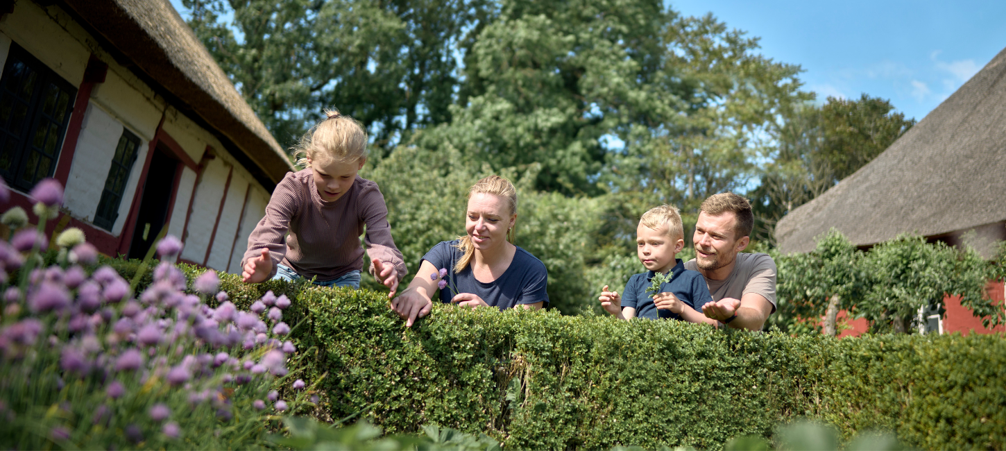 Familie med to voksne og to børn kigger og peger over hækken i Den Fynske Landsbytokroser.