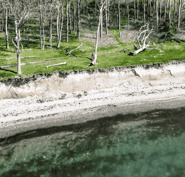 Strand, klint, græs og træer 