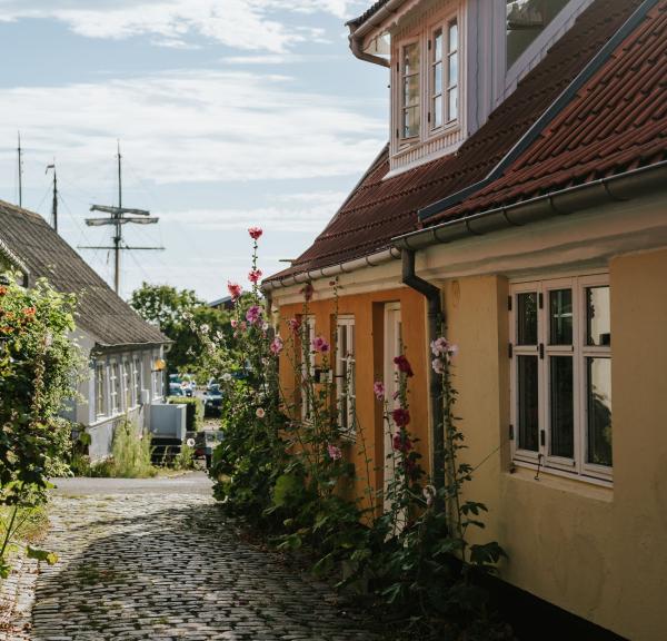 Husfacade på ældre byhus med brosten og stokroser foran